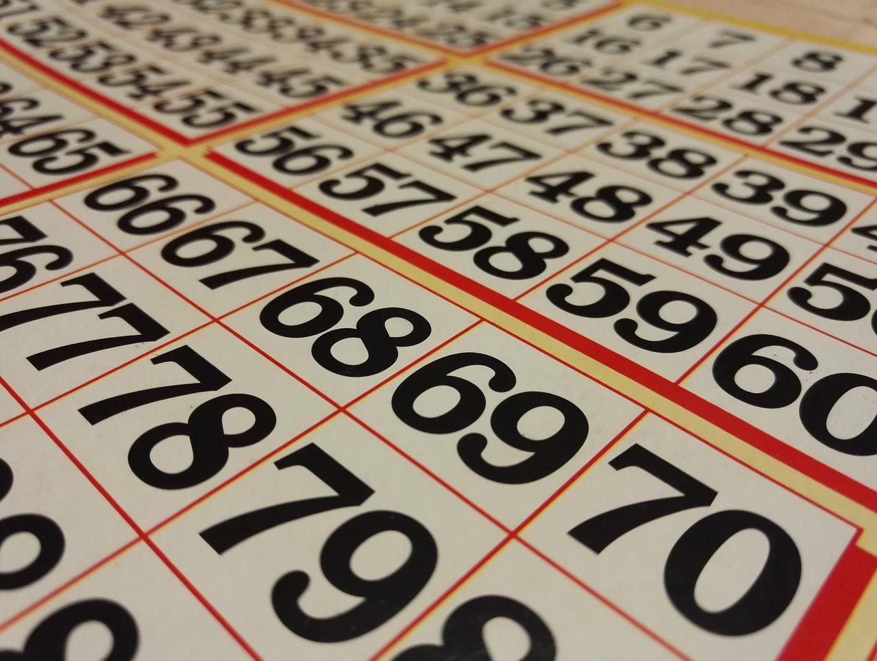 Top Things to Look for in the Best Bingo Site